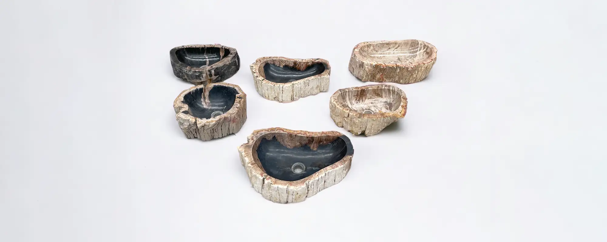 Petrified Wood Basins